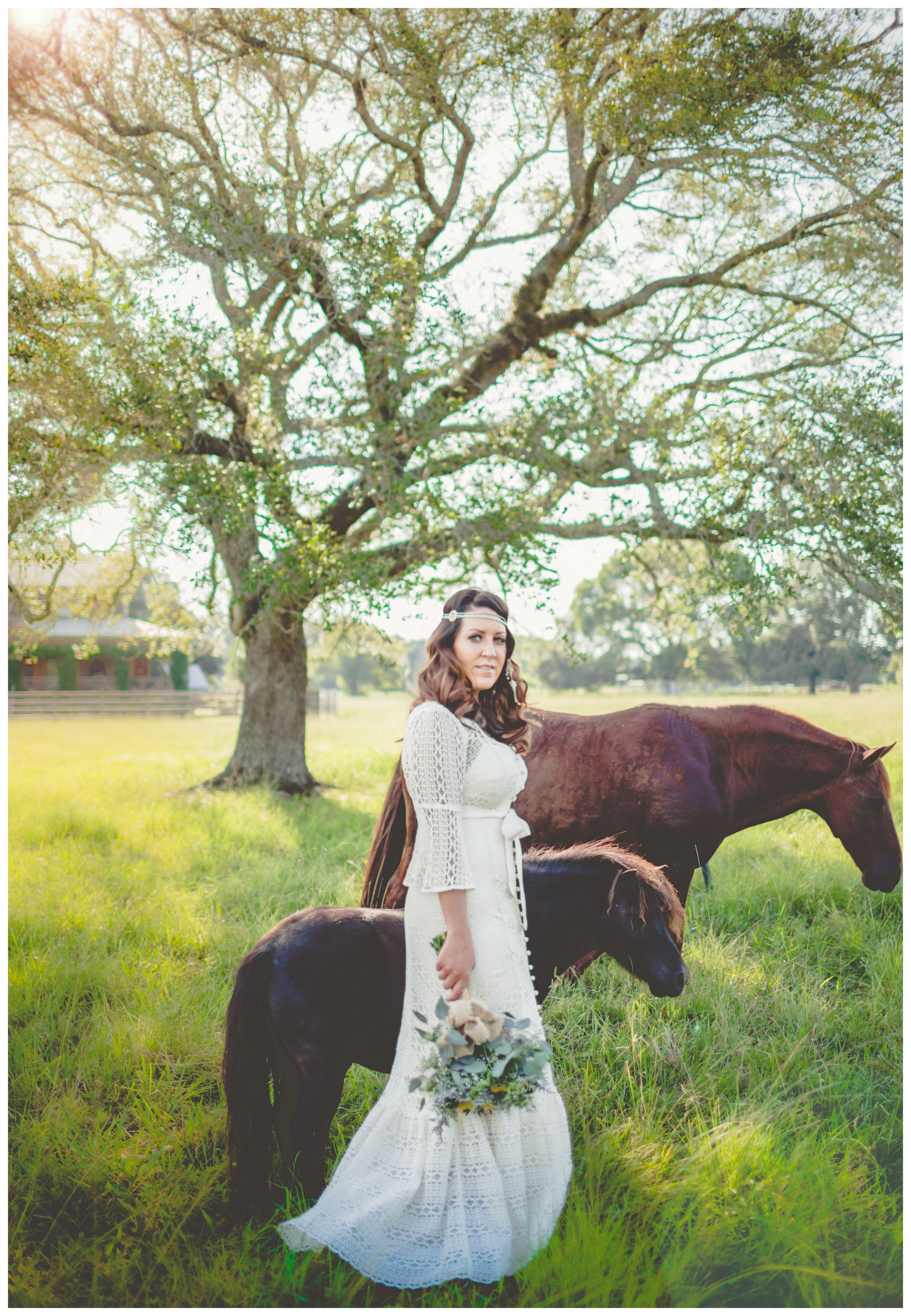 Houston Wedding Photography   Horse Bridal Portrait 