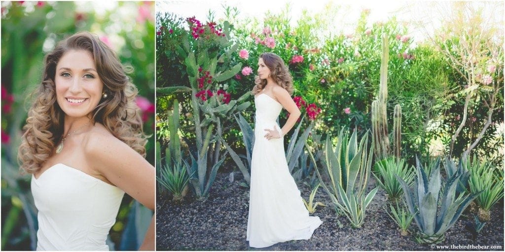 Arizona_Desert_Wedding