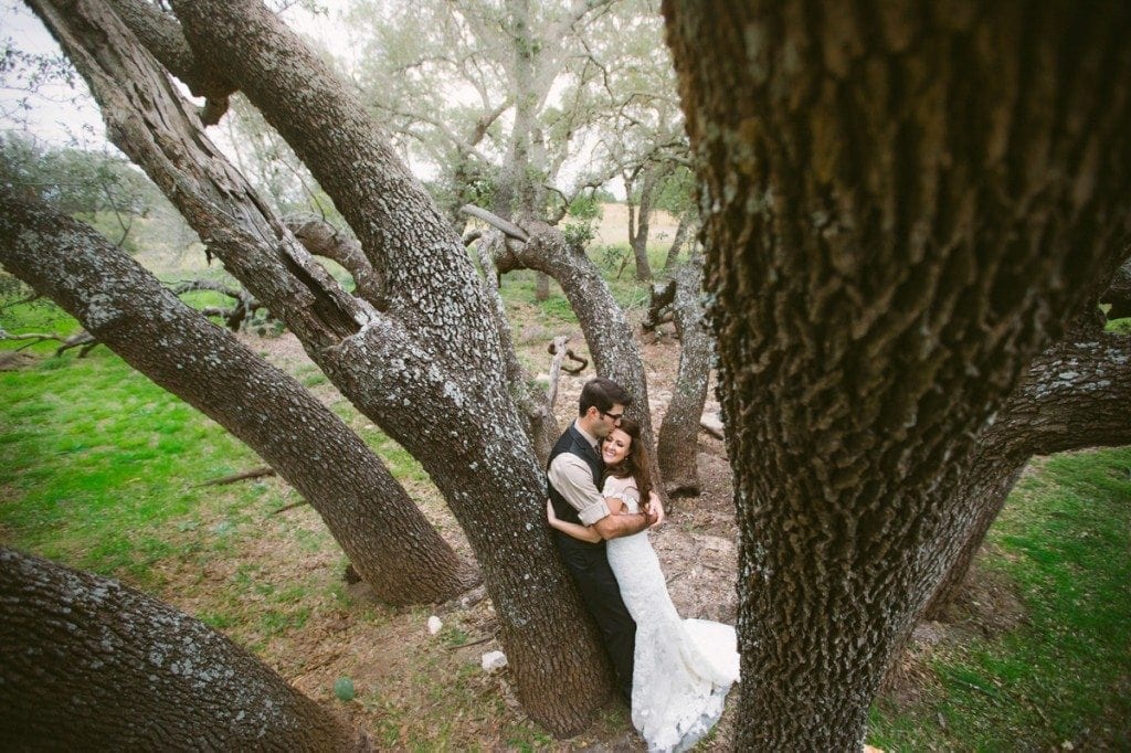 Three-Points-Ranch_tree