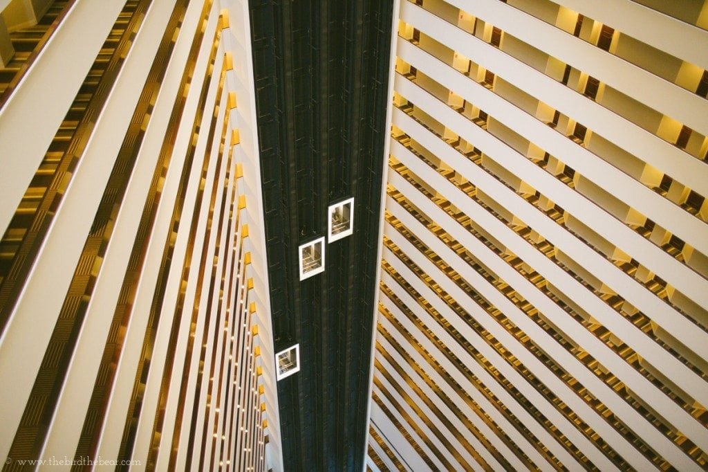 Hotel elevators go up and down.