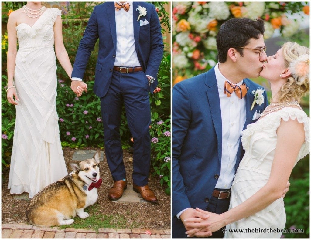 dog ringbearer