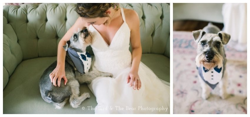 Barr Mansion Wedding