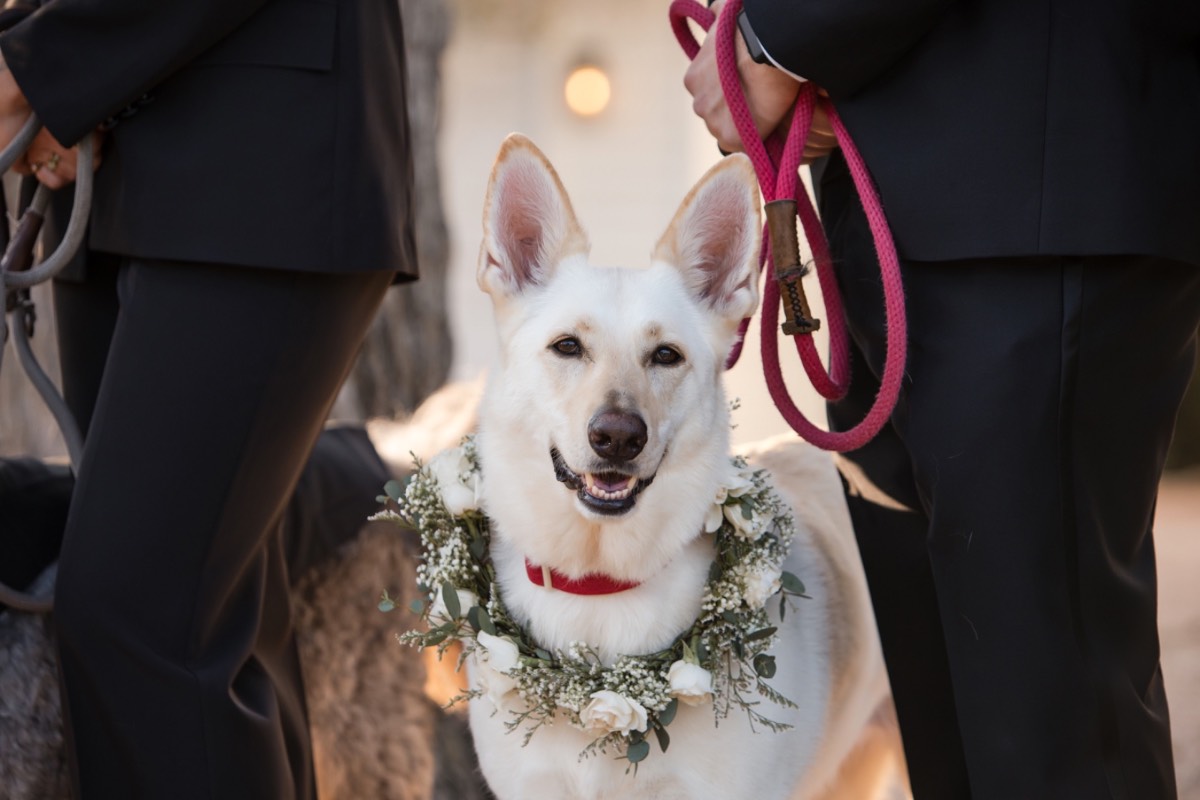Winter wedding ceremony at Barr Mansion in Austin photographed beautifully.