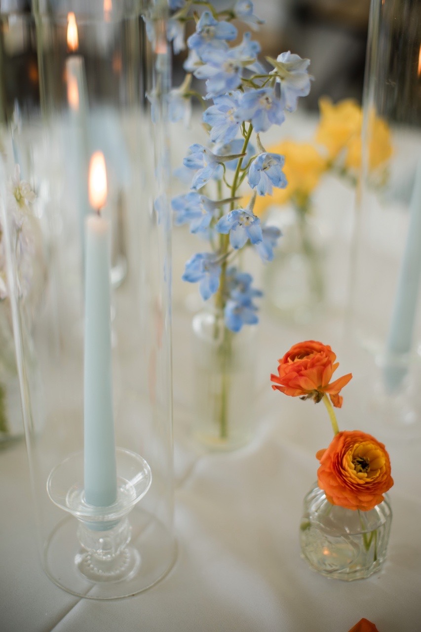 Toasts and celebration at N and H's Woodbine Mansion reception