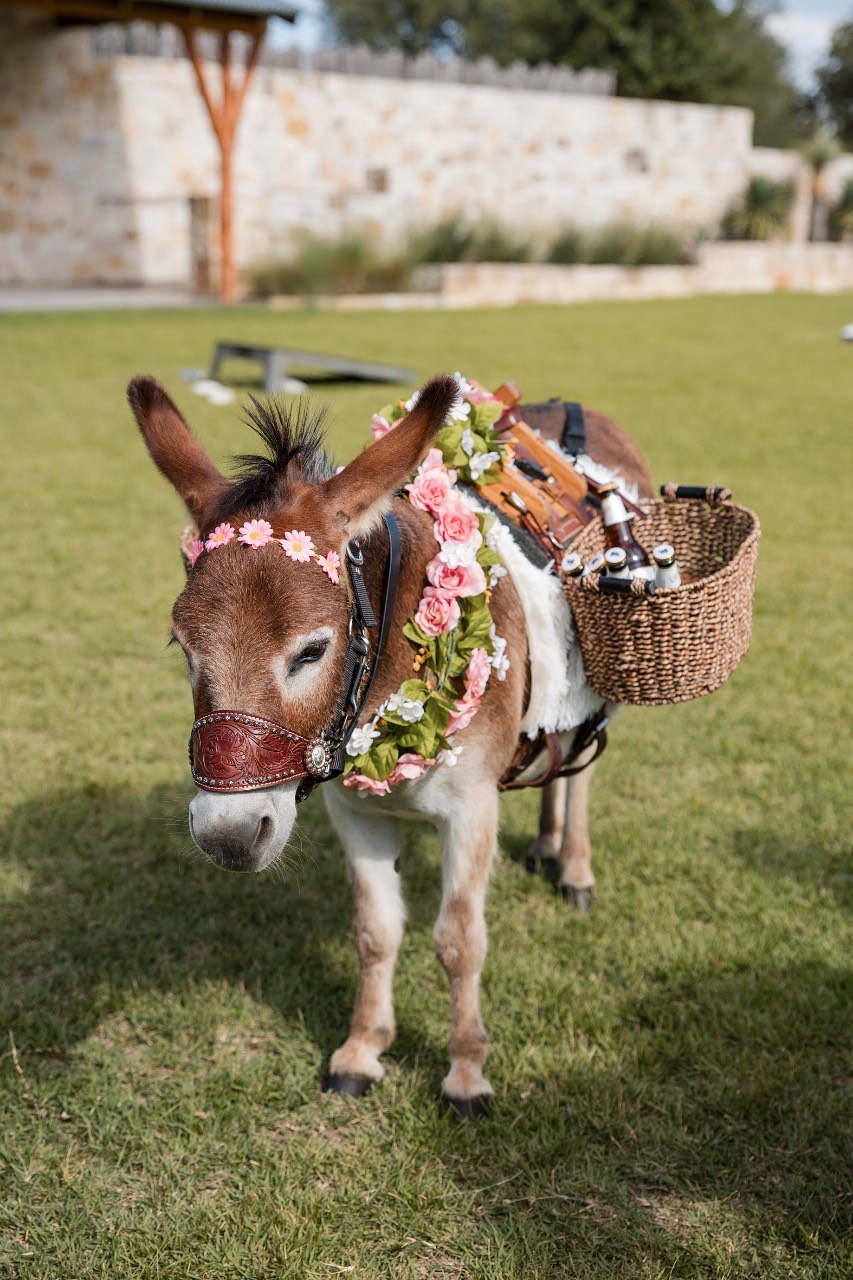 Couple departing reception in decorated vehicle at Lampasas venue