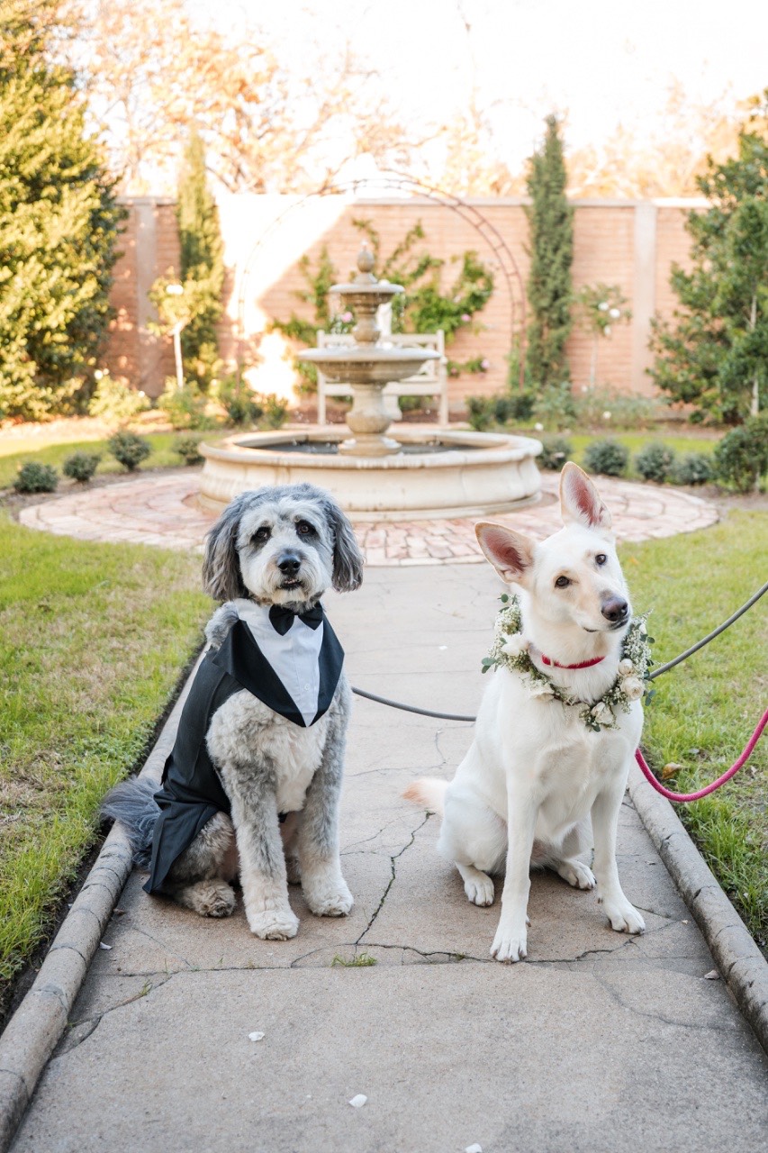 S & A wedding at Barr Mansion